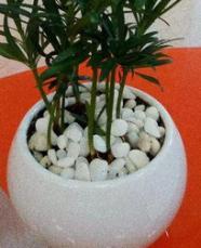 寻找适合过一生